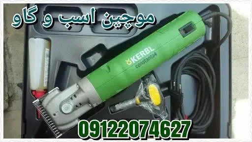 مو چین برای اسب