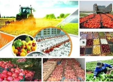 دوره تجاری سازی محصولات کشاورزی برندینگ وبسته بندی