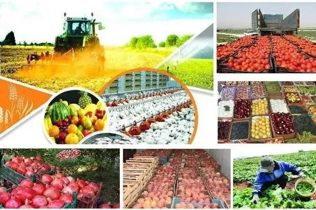 دوره تجاری سازی محصولات کشاورزی برندینگ وبسته بندی